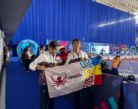 Serie Mundial de Paranatación